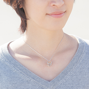 jewelry_frame_ladies